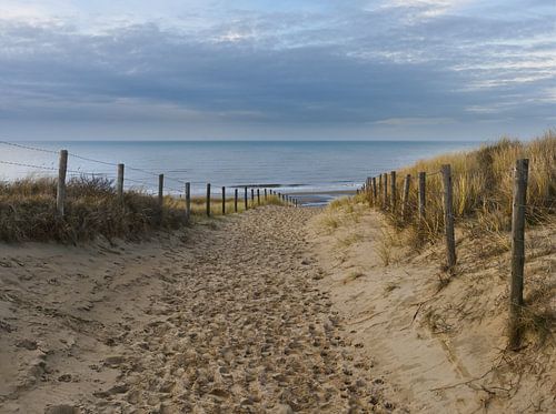 Sentier des dunes Zeereep Katwijk
