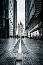 Tower Bridge, London von H Verdurmen Miniaturansicht