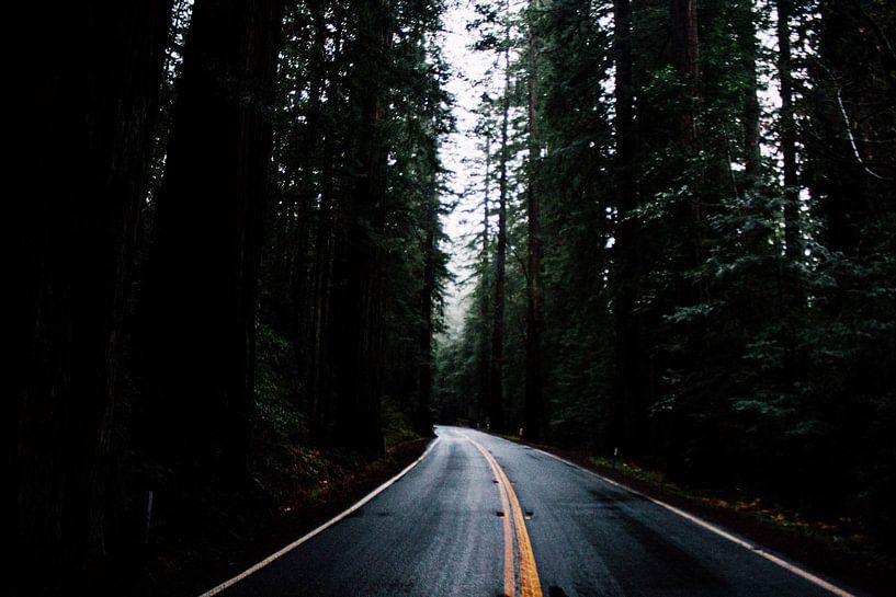 Straße nach Nirgendwo von Walljar