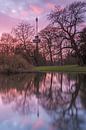 Euromast at sunset van Ilya Korzelius thumbnail