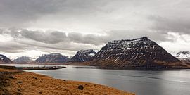Icelandic fjords by Bas Wolfs