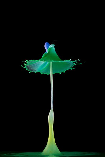 Liquid ART - green TaT by Stephan Geist