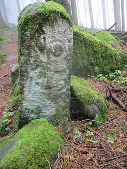 Mystischer Schwarzwald - Pfade der Stille II