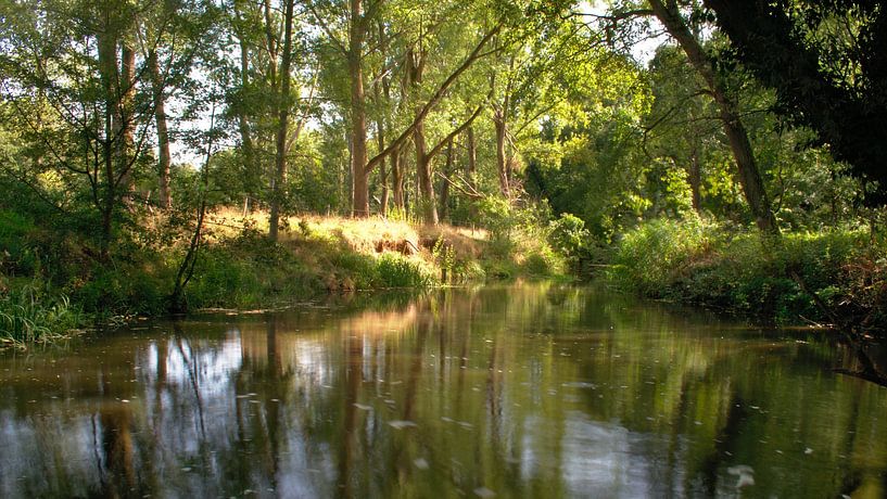 Wasser an der Leumolen von Arno Lambermont