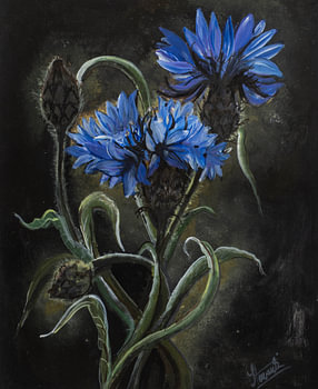 Wilde veldbloemen