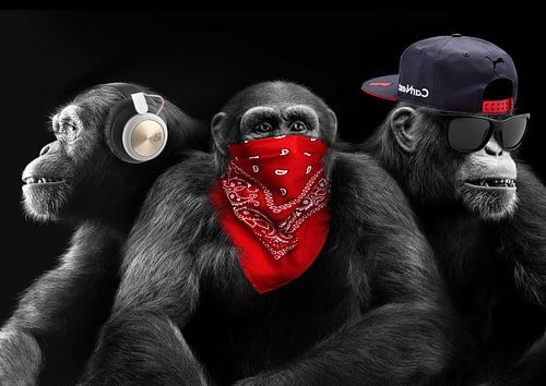 Drei weise Affen von Bert Hooijer