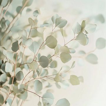 Eucalyptus takken van Poster Art Shop