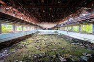 Piscine abandonnée. par Roman Robroek - Photos de bâtiments abandonnés Aperçu