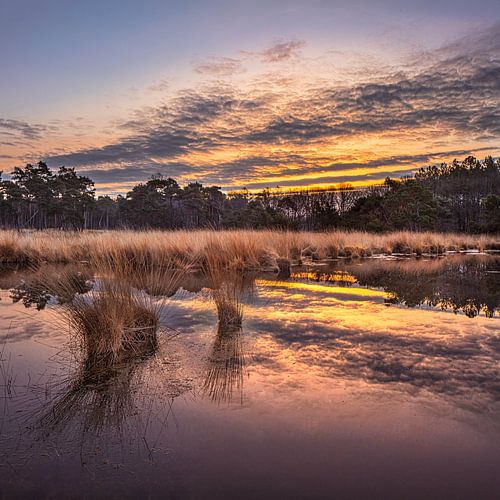 Sunrise with dramatic clouds reflected in a tranquil wetland 3
