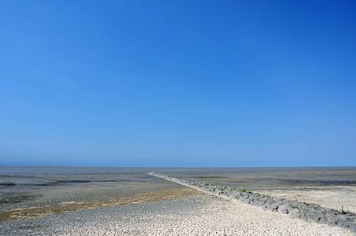 Droogte Waddenzee 2018