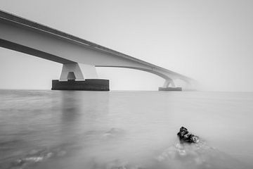 Japanische Austern unter der Zeelandbrücke von Julien Beyrath