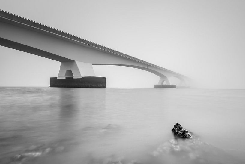 Huîtres japonaises sous le pont de Zélande par Julien Beyrath