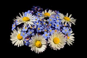 Blumenstrauß mit Gänseblümchen und Vergissmeinnicht