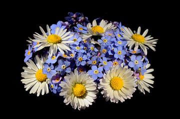 Blumenstrauß mit Gänseblümchen und Vergissmeinnicht von Corinne Welp
