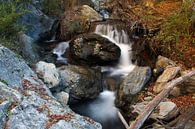 Rio Torrente von Cornelis (Cees) Cornelissen Miniaturansicht