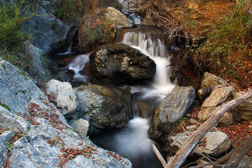 Rio Torrente von Cornelis (Cees) Cornelissen