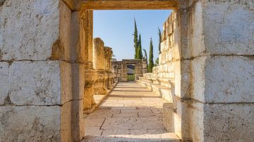 Oude ruines van Capernaum in het noorden van Israël van Jessica Lokker