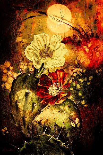 Le cactus dans le coucher de soleil... par Helga Blanke
