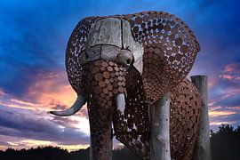 Elephant on the Veluwe by Franke de Jong