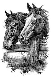 Two Horses Fence Detailed Vintage Line Art by NAIME ATELIER