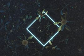 rotated rectangle frame in neon light covered by dandelion plants