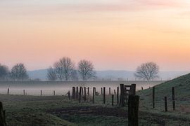 brumeux et rural sur Tania Perneel