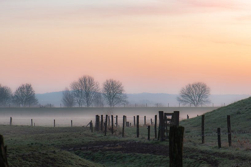 misty and rural by Tania Perneel