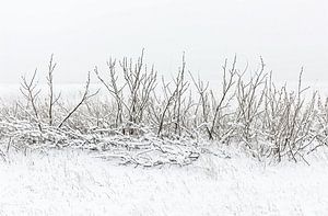 Winterlandschaft