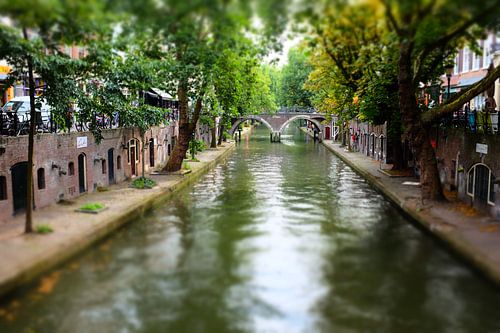 Oudegracht, or 'old canal'  by Dianne van der Velden