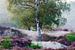 Berk op de paarse heide (schilderij) van Art by Jeronimo
