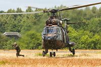 Royal Netherlands Air Force AS532 Cougar