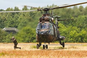 Forces aériennes royales néerlandaises AS532 Cougar