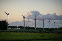 Evening fall at windmills