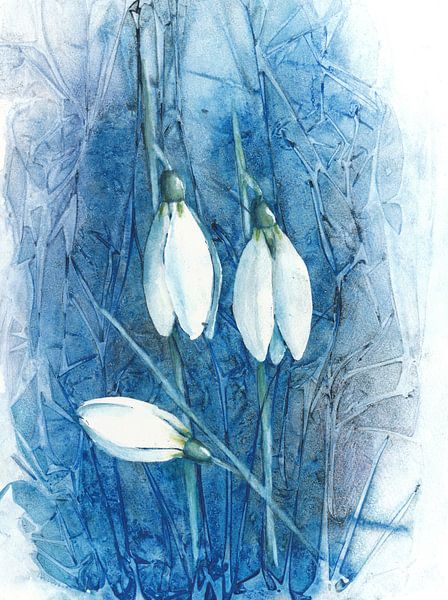 Schneeglöckchen von Jitka Krause