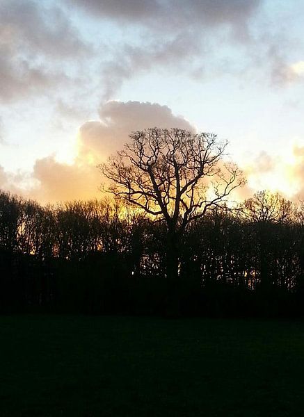 Sunrise van Jolanda Jouvenaar