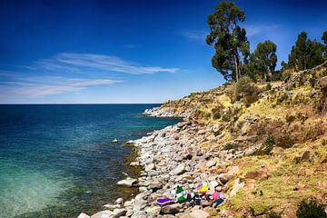 Kust van het eiland Taquile in het Titicacameer Peru van Yvonne Smits