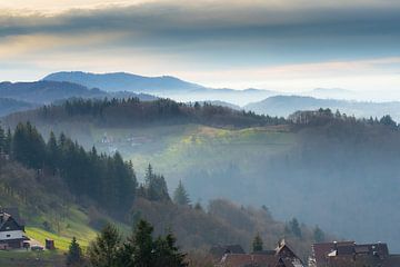 Sasbachwalden dans la Forêt-Noire dans une brume mystérieuse. sur André Post