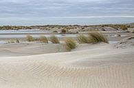 Die Dünen von Texel von Antwan Janssen Miniaturansicht