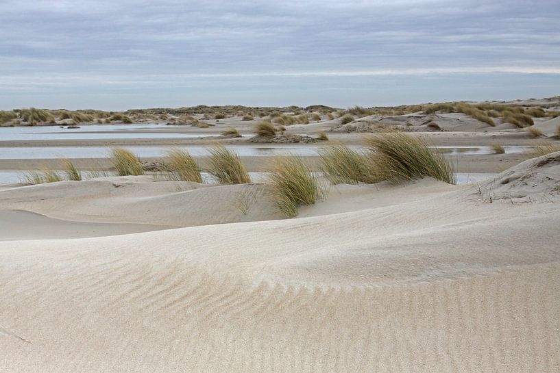 Dunes de Texel par Antwan Janssen