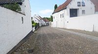The beautiful white houses in Thorn