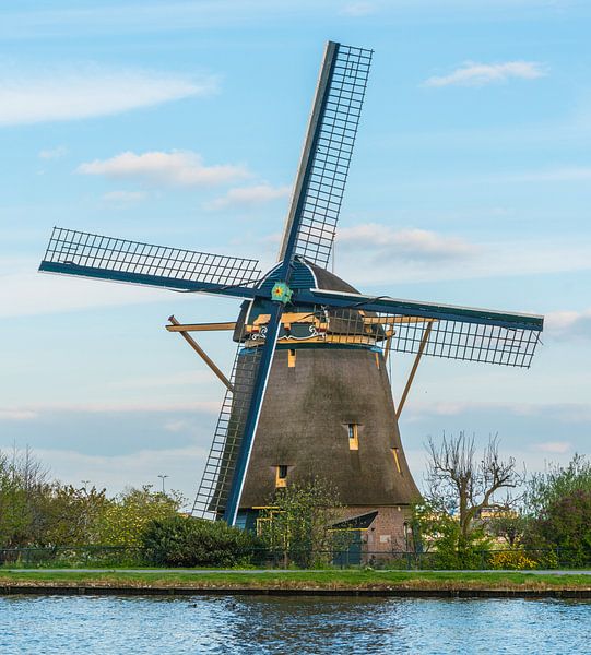 Mill the Swan by Ivo de Rooij