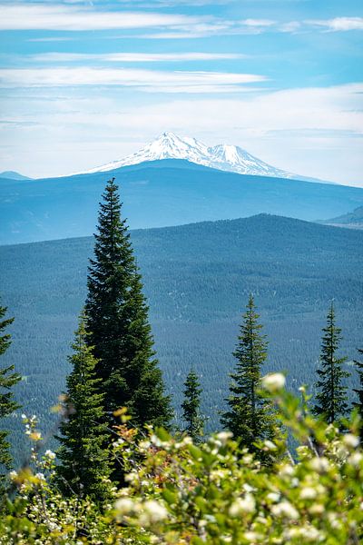 Mt Hood by Tashina van Zwam
