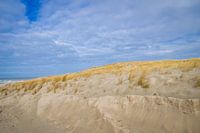 Texelse duinen