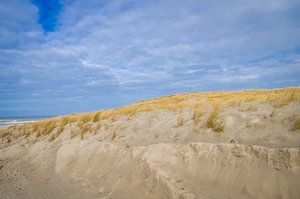Texelse duinen van Brigitte Blaauw