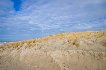Les dunes de Texel sur Brigitte Blaauw