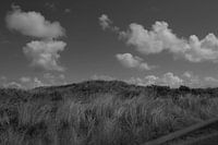 Duinen Texel
