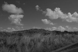 Duinen Texel von Henk van der Sloot