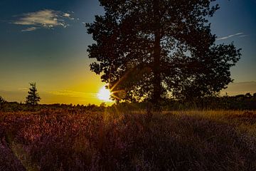Heideveld met zonsondergang, Drenthe van Gert Hilbink