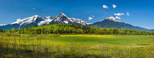 Zonnige vallei voor de bergketen van de Canadese Rockies