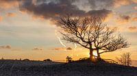 Sunrise Loonse and Drunense dunes